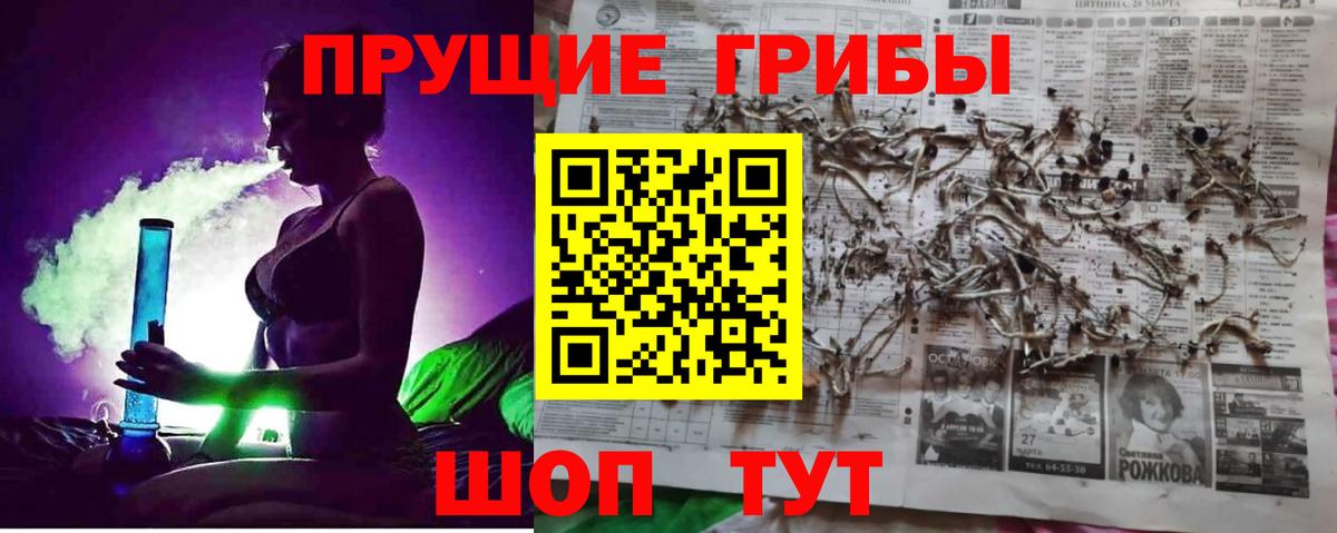 Псилоцибиновые грибы Psilocybine cubensis Клинцы