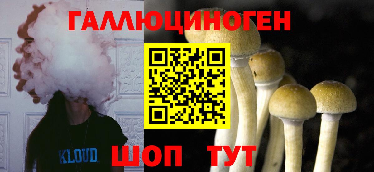 Галлюциногенные грибы MAGIC MUSHROOMS  Вход с VPN  Псилоцибиновые грибы Psilocybine cubensis  Клинцы 
